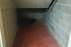 Sub-level Storage Room (looking south into under-step storage closet on south side of room)