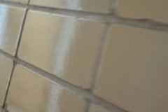 Under steps storage on south end of building - below lower steps