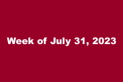 010-Week20230731