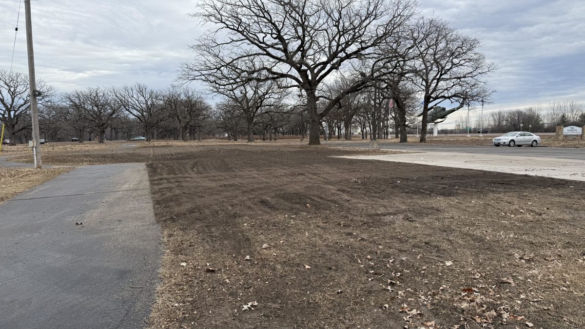 Looking east in Memorial Park from the trail north of the former Chamber of Commerce office (Dec. 2024)